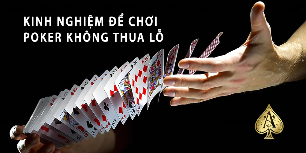 Một bộ poker bao gồm những gì?